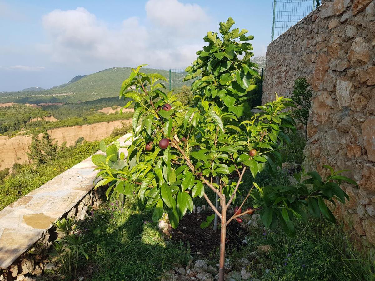 בית הארחה Vuno 	Vila Tatjana מראה חיצוני תמונה