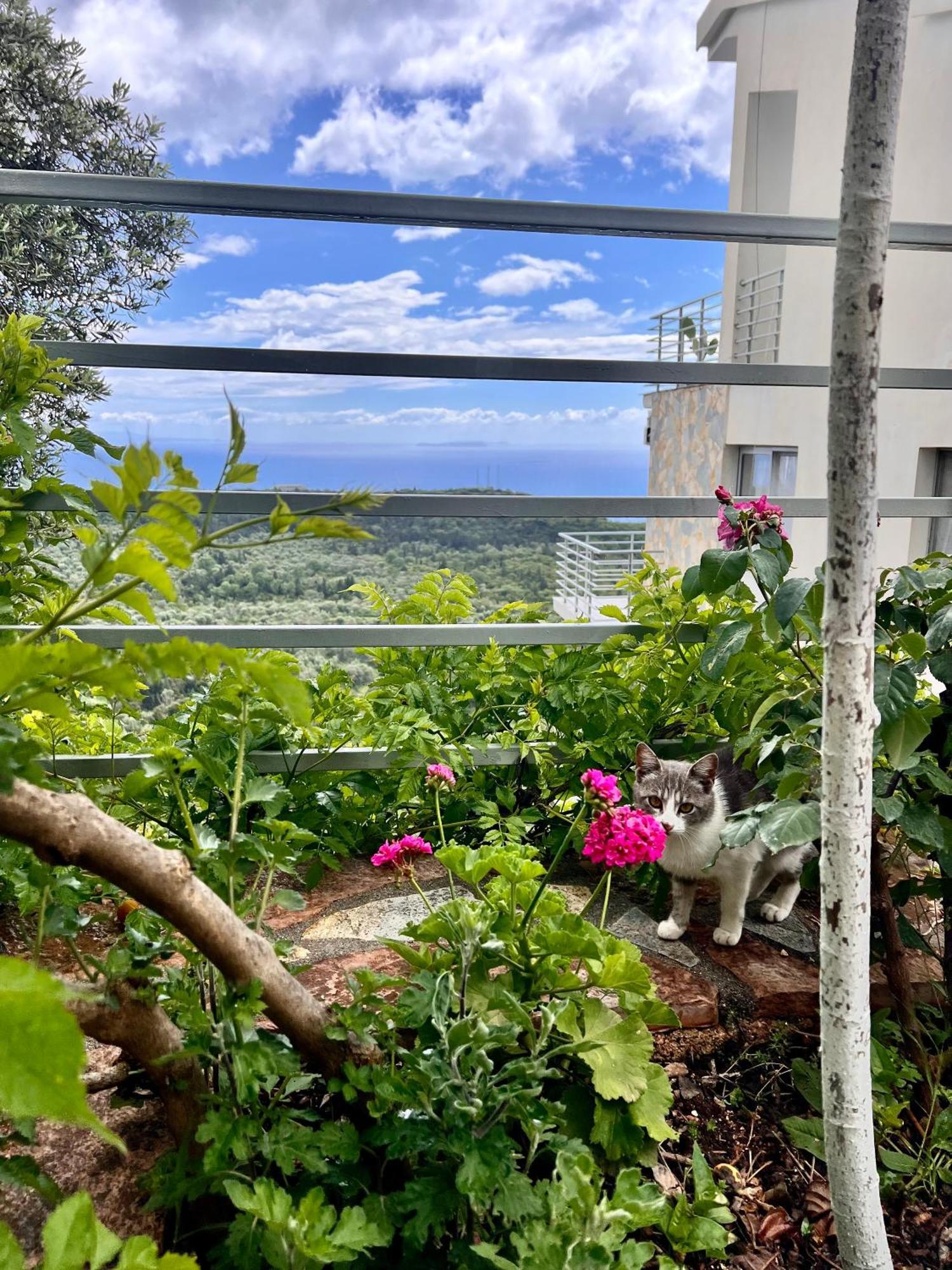 בית הארחה Vuno 	Vila Tatjana מראה חיצוני תמונה